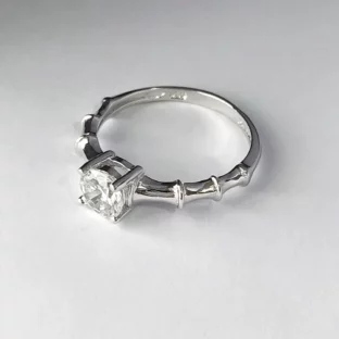 wsr-20-a_silver ring